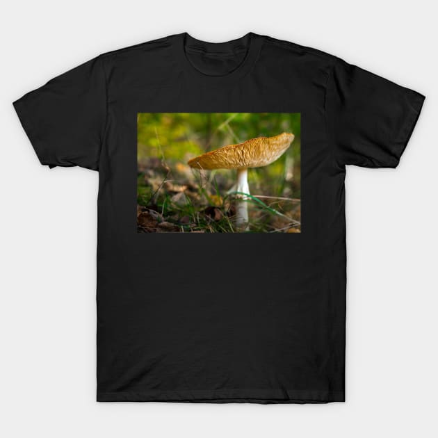 Poisonous fly agaric mushroom T-Shirt by naturalis